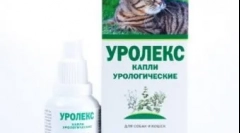 Urholaks - elsősegély az urogenitális rendszer szerveinek betegségeihez a macskákban